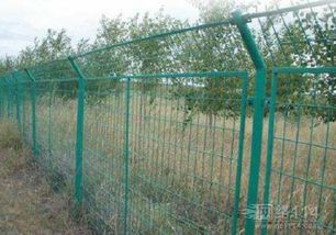 筑牢無形之盾 防護(hù)網(wǎng)的多元應(yīng)用與深遠(yuǎn)意義